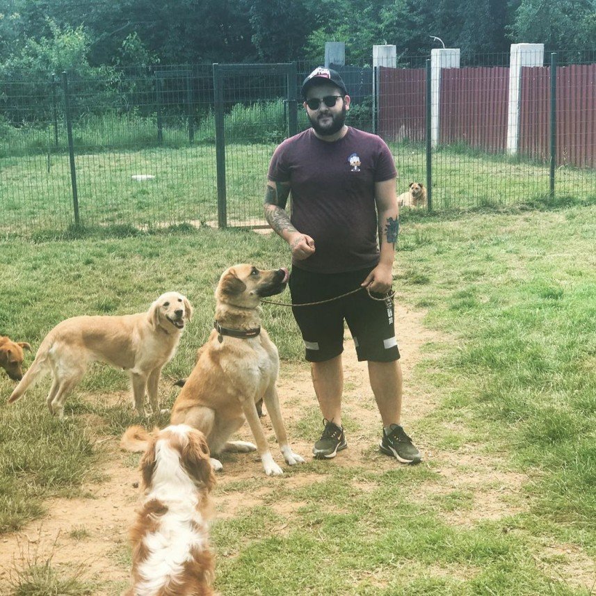 Köpek Eğitmeni Nuri