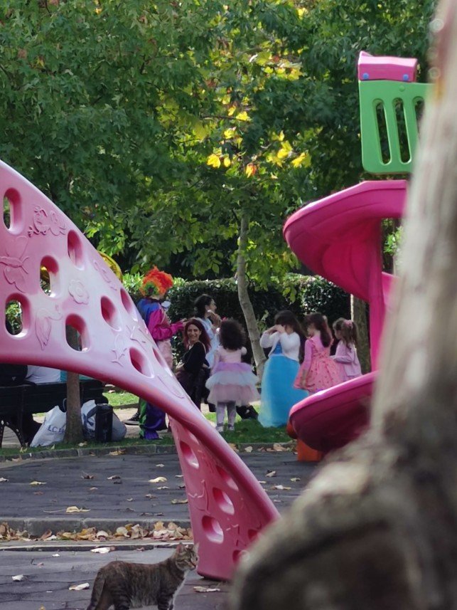 Galaksi Organizasyon