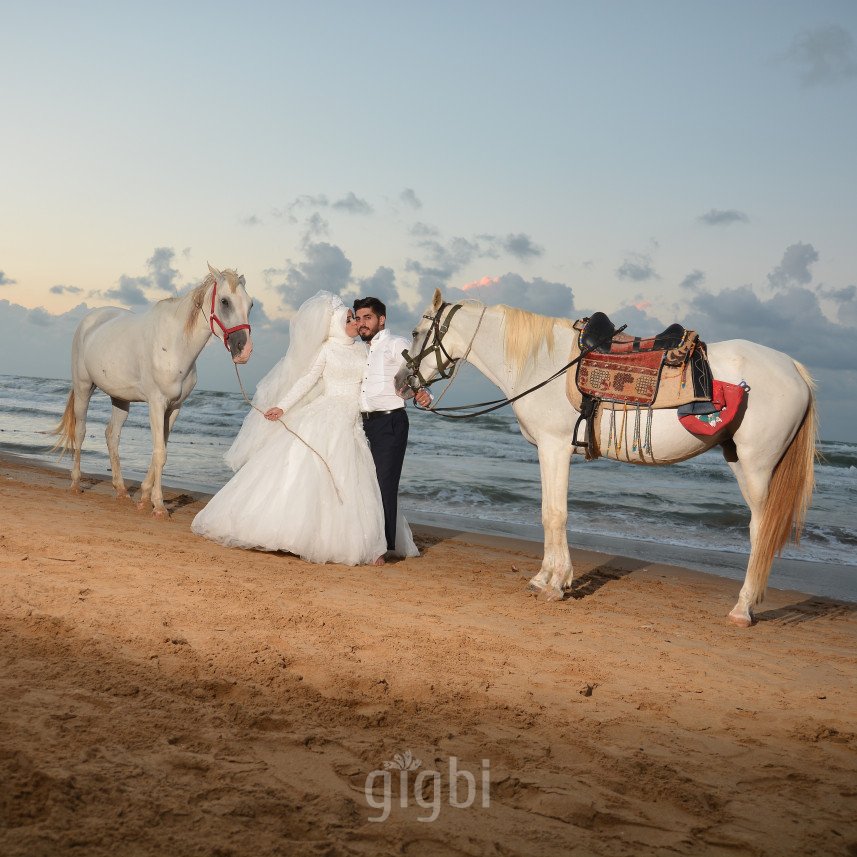 Olimbera Photography