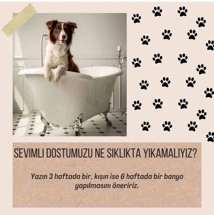 Ömer Faruk  Güldür