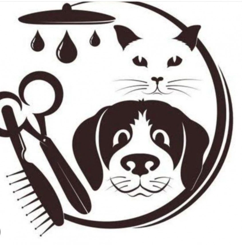 Ömer Faruk  Güldür