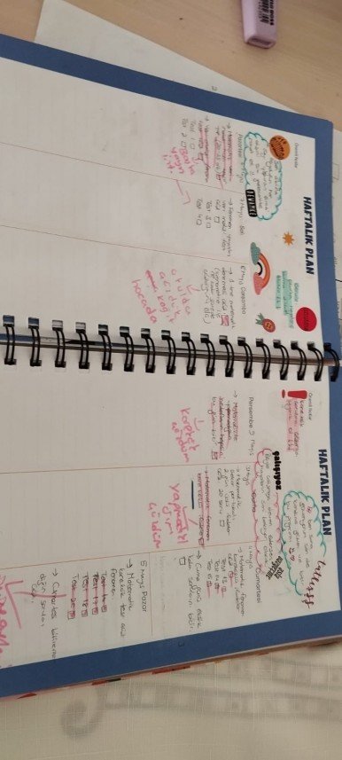 Onur Mohamed Haniffa