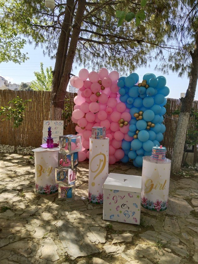 Gökyüzü Organizasyon