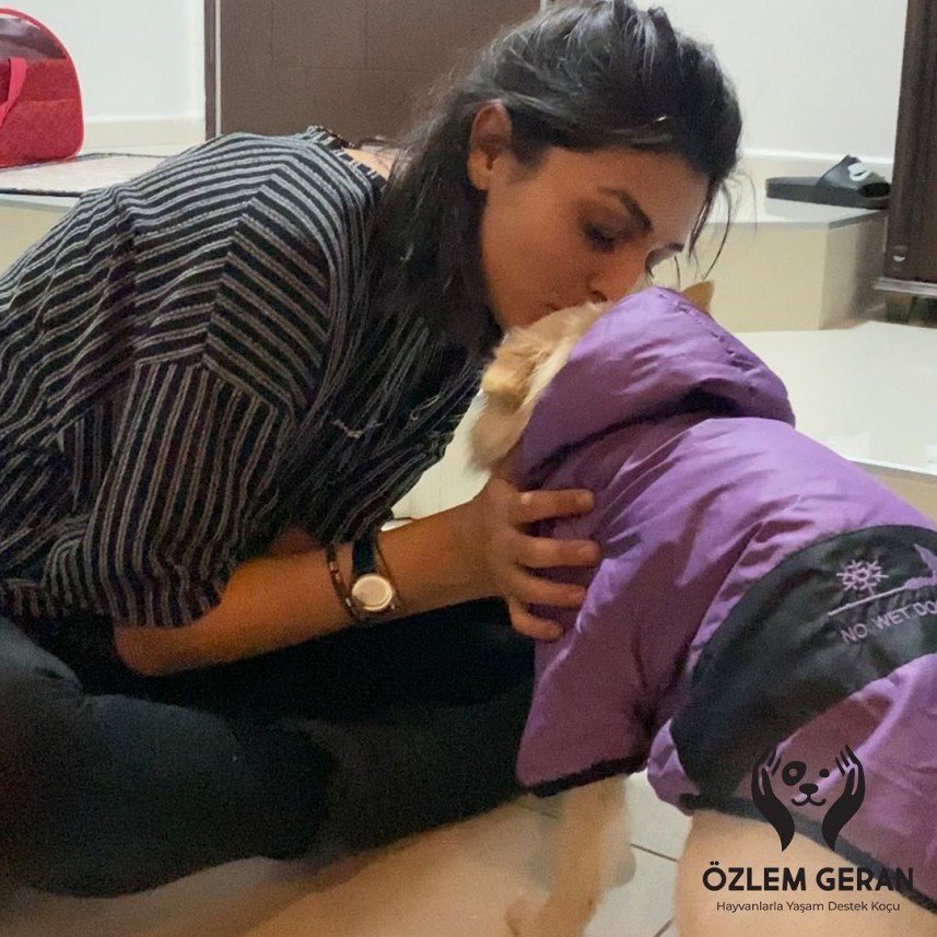 Köpeklerle Yaşam Atölyesi 