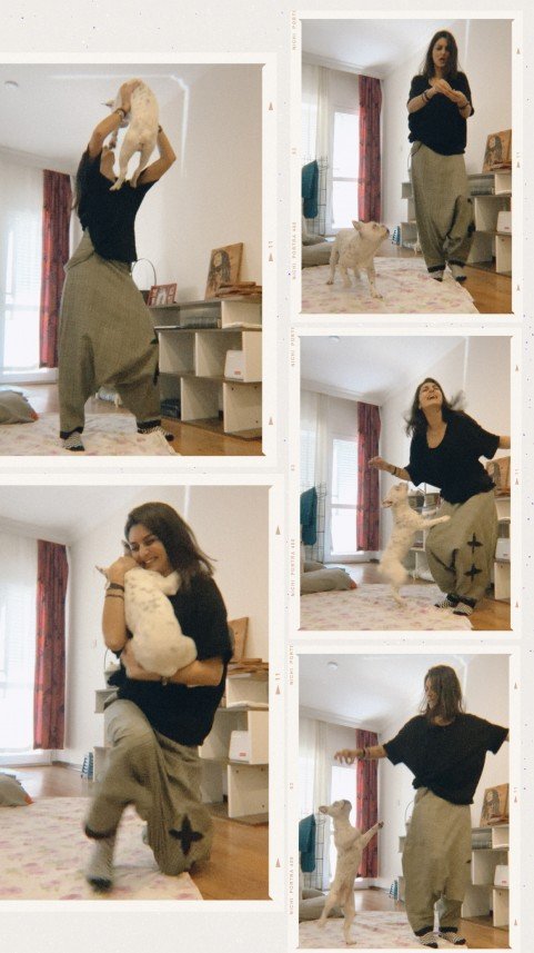 Köpeklerle Yaşam Atölyesi 