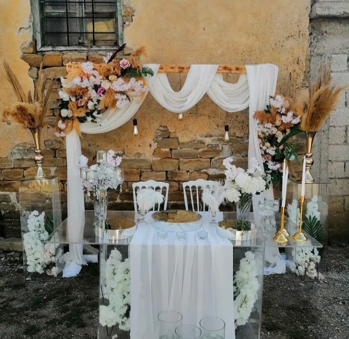 Mavi Kelebek Organizasyon