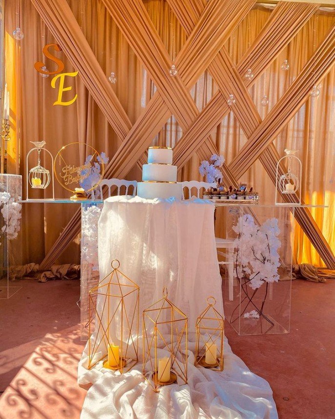 Mavi Kelebek Organizasyon