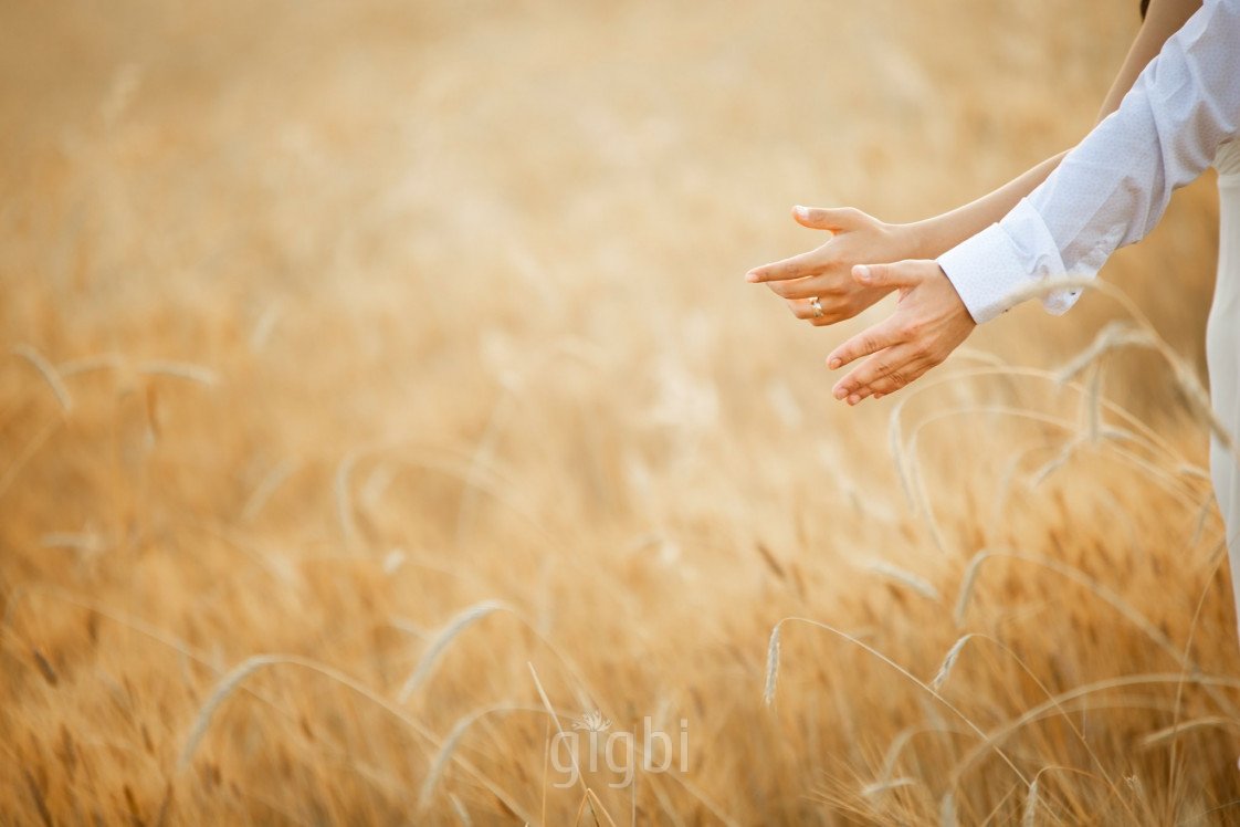Paris Fotoğrafçılık