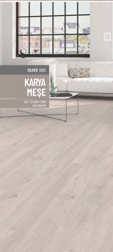 Parkeci Şükrü Usta Mersin 