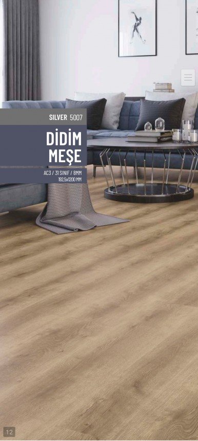 Parkeci Şükrü Usta Mersin 