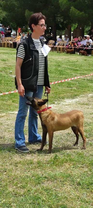 Paşa Köpek Dünyası