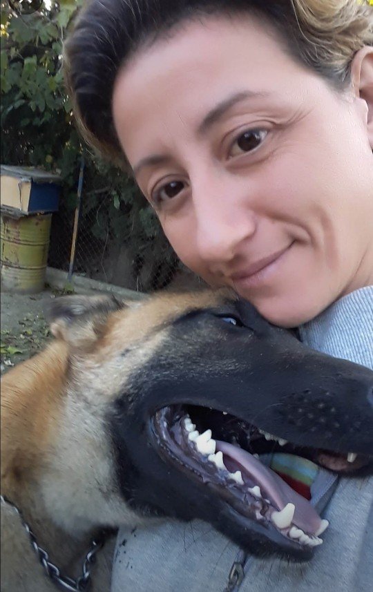 Paşa Köpek Dünyası