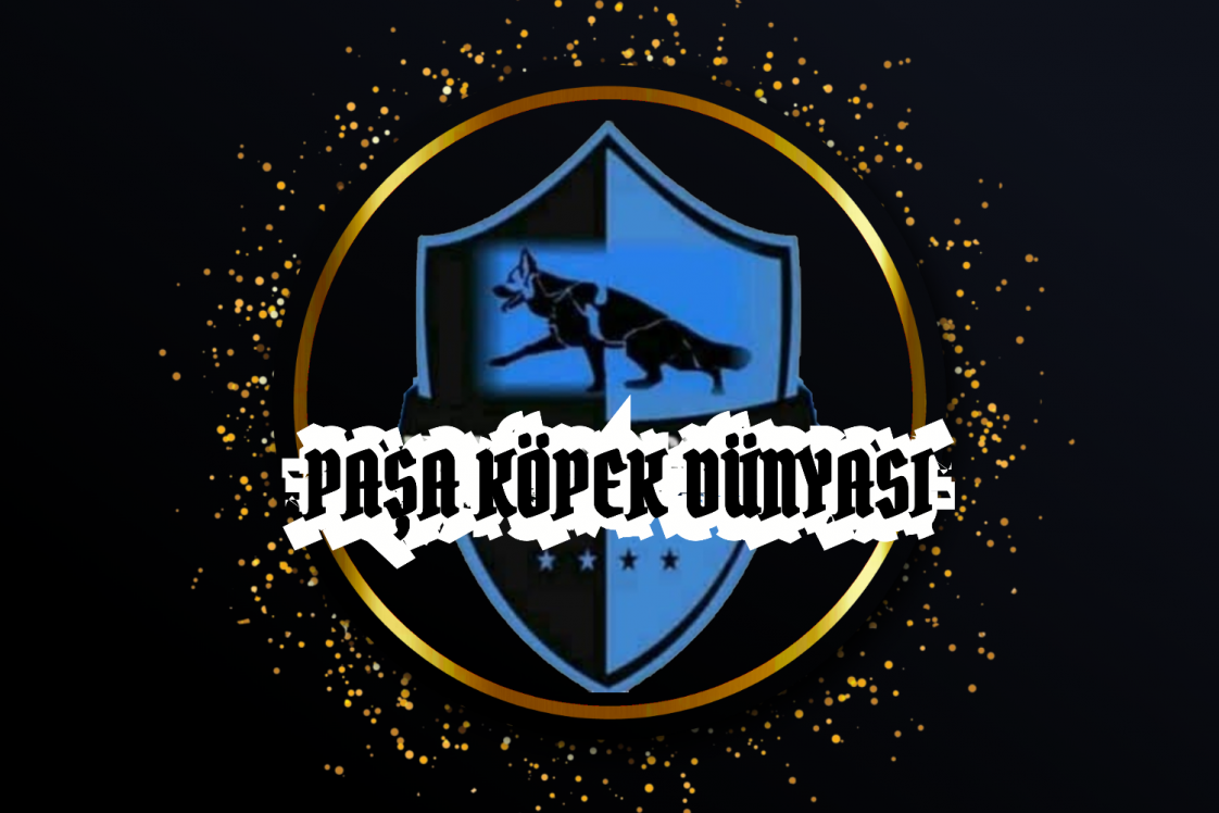 Paşa Köpek Dünyası