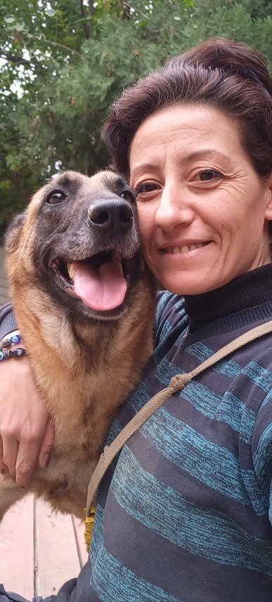 Paşa Köpek Dünyası