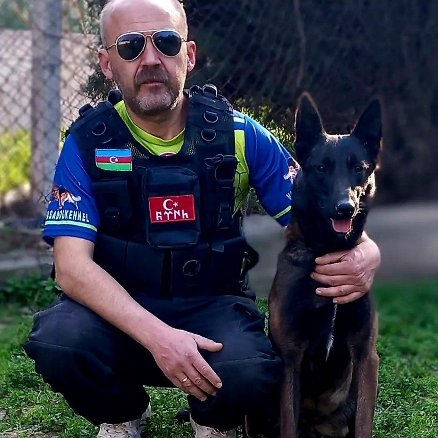 Paşa Köpek Dünyası