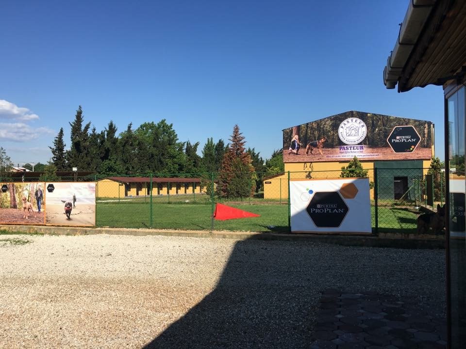 Pasteur Köpek Eğitim Merkezi 