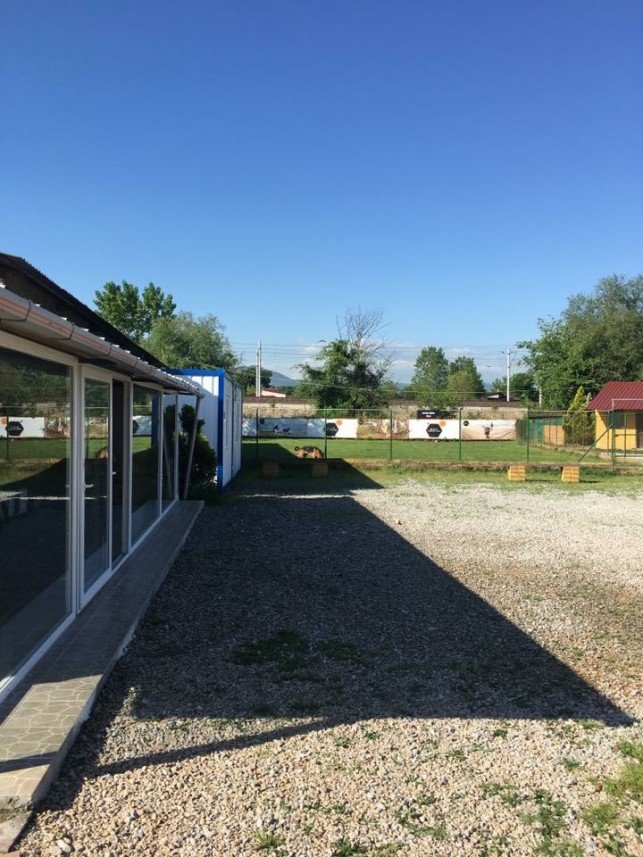 Pasteur Köpek Eğitim Merkezi 