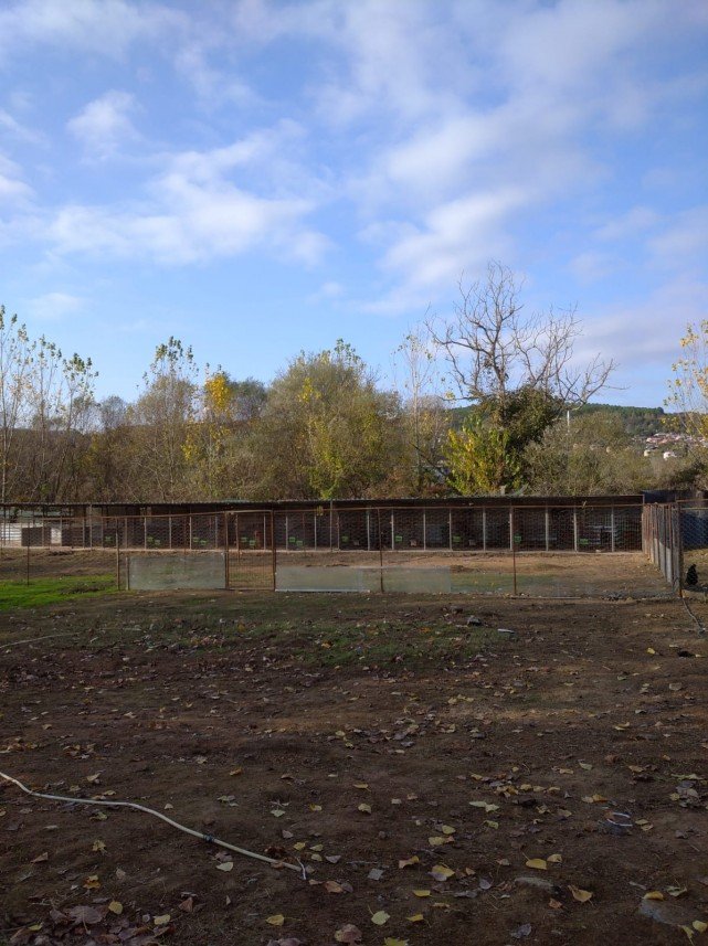 Pati Dostum Pet Otel