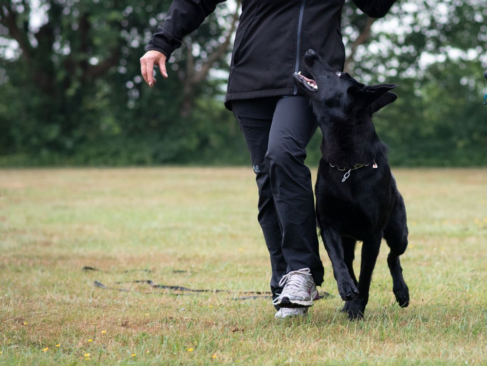 Pati Eğitim Merkezi