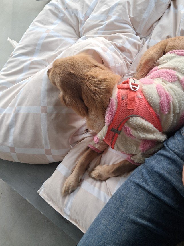 Patili Evim Bahçeköy