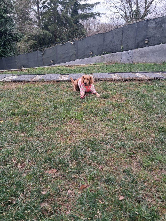 Patili Evim Bahçeköy