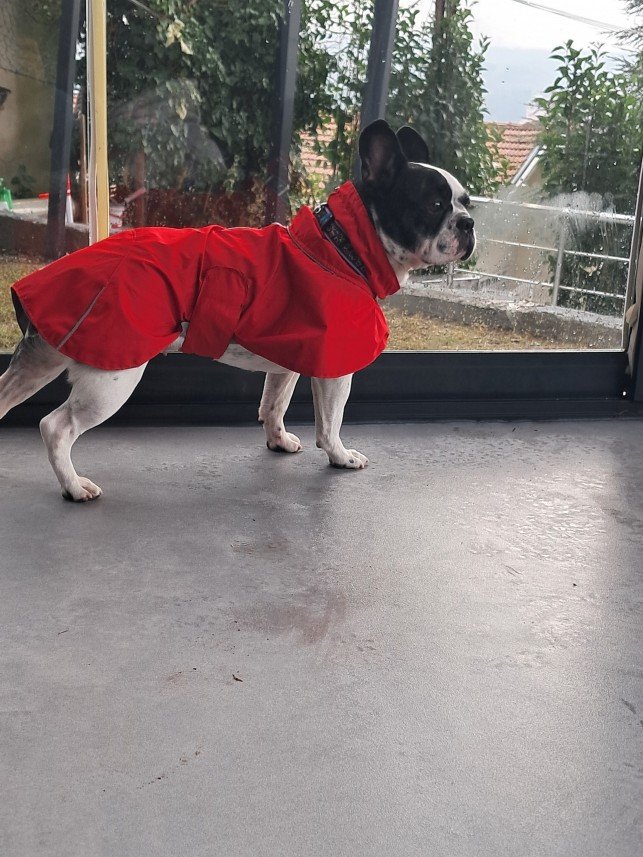 Patili Evim Bahçeköy