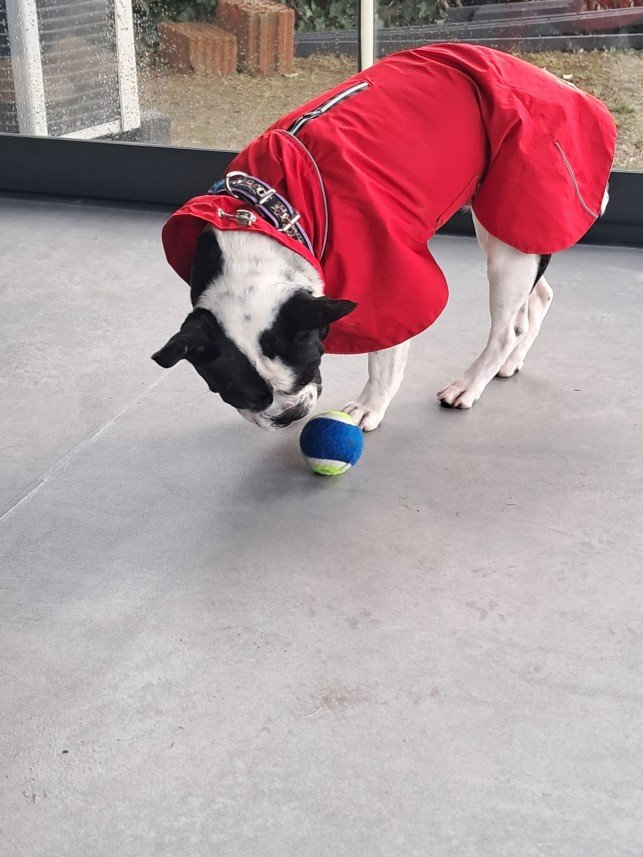 Patili Evim Bahçeköy