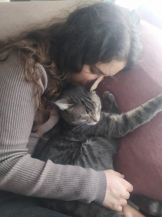 Patili Yuva Kedi Oteli