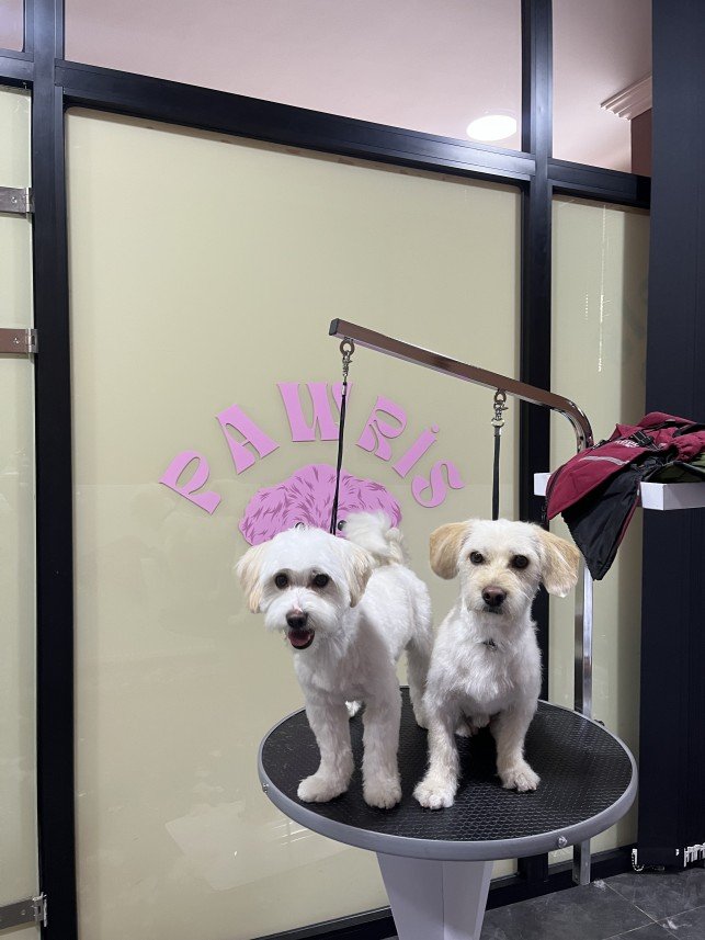 Pawris Pet Center