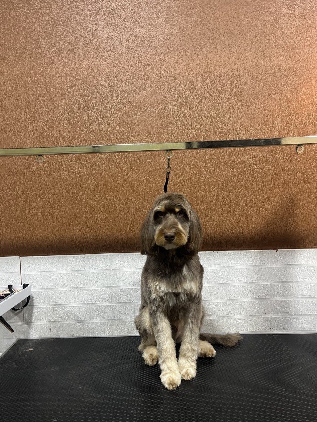 Pawris Pet Center