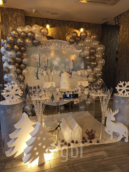 Pelinin Organizasyon Evi