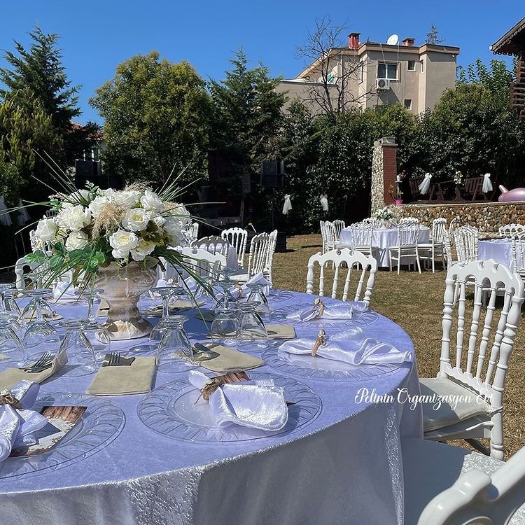 Pelinin Organizasyon Evi