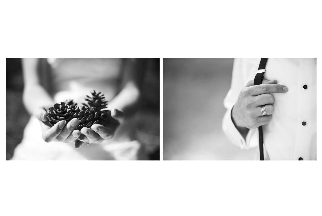 P. Fotoğraf Stüdyosu