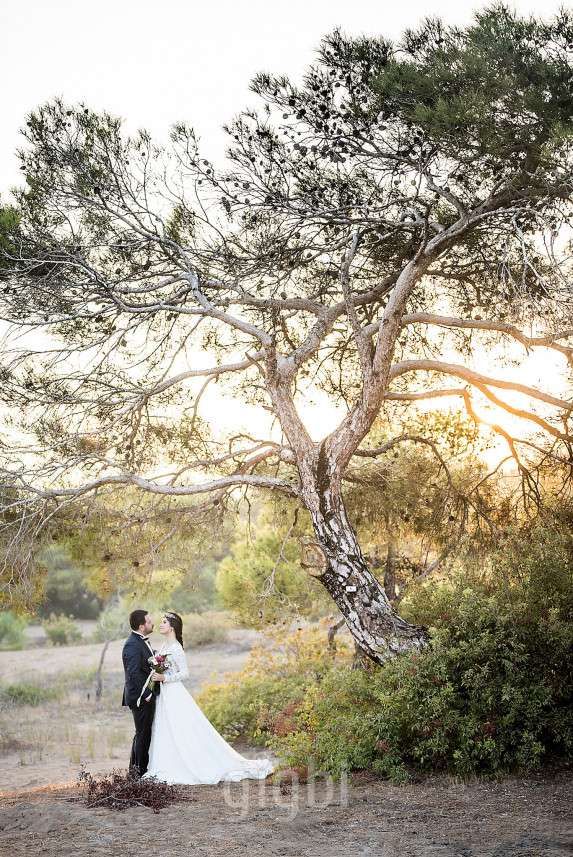 P. Fotoğraf Stüdyosu