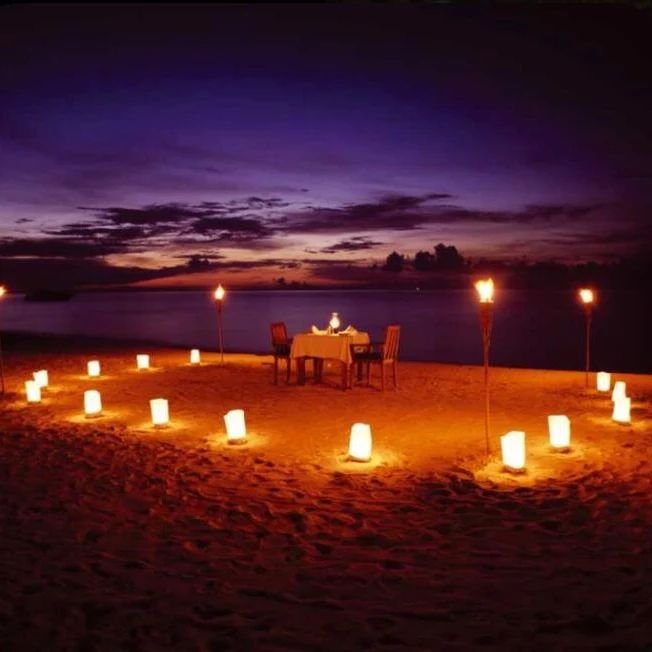 Phedra Tasarım ve Organizasyon