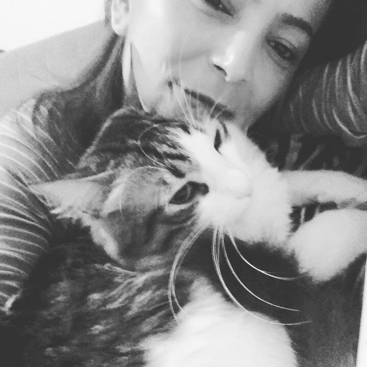 Pisi Pisi Kedi Oteli