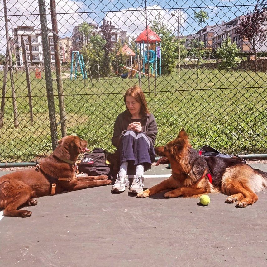 Pozitive Dog Training