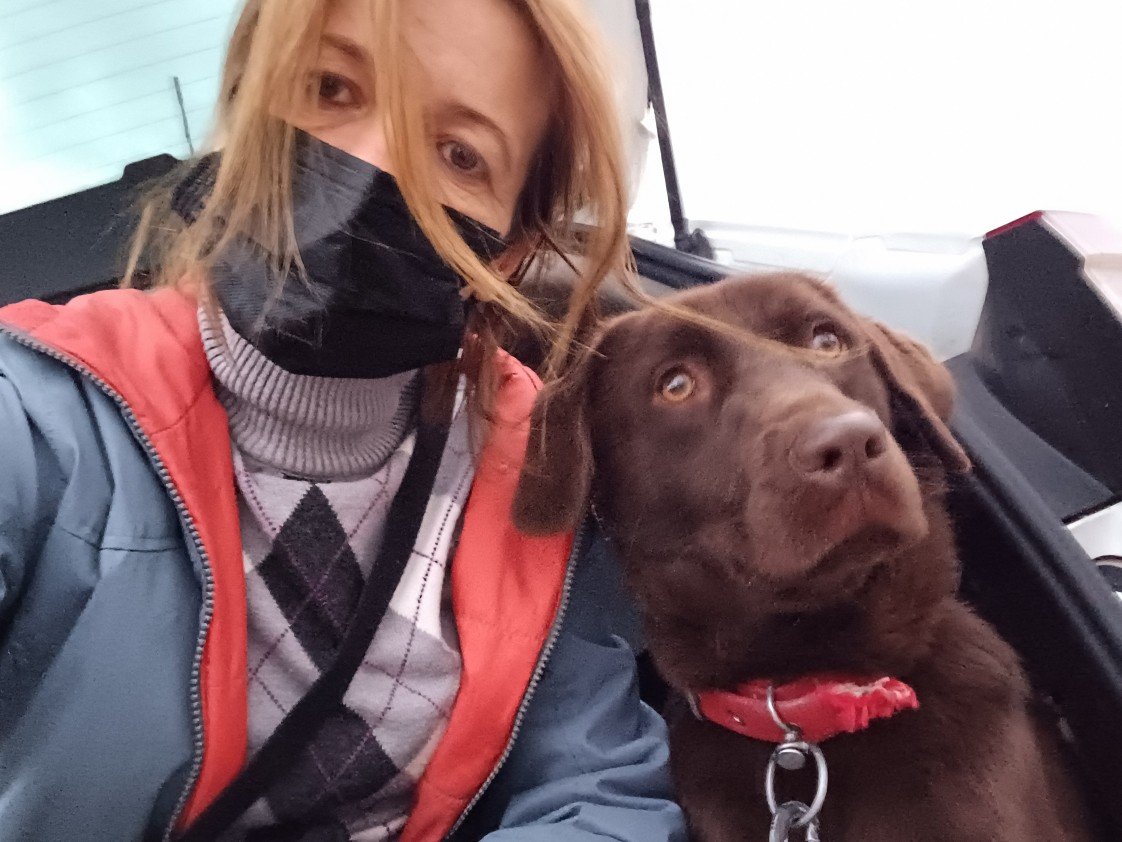 Pozitive Dog Training