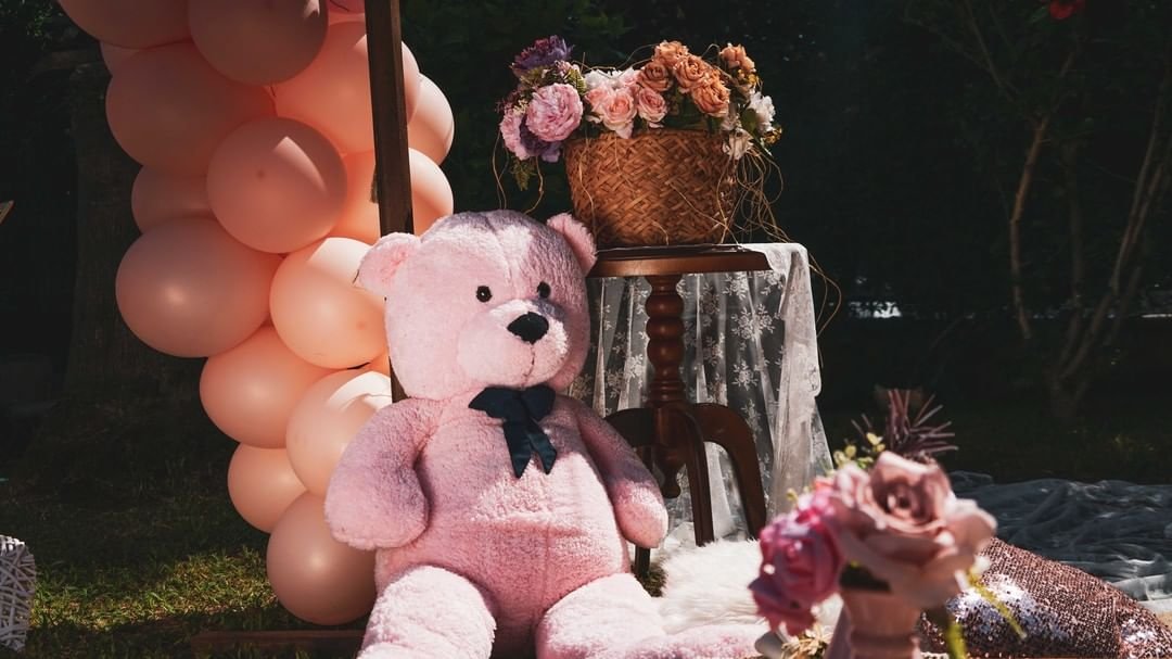 Marsel Antalya Organizasyon 