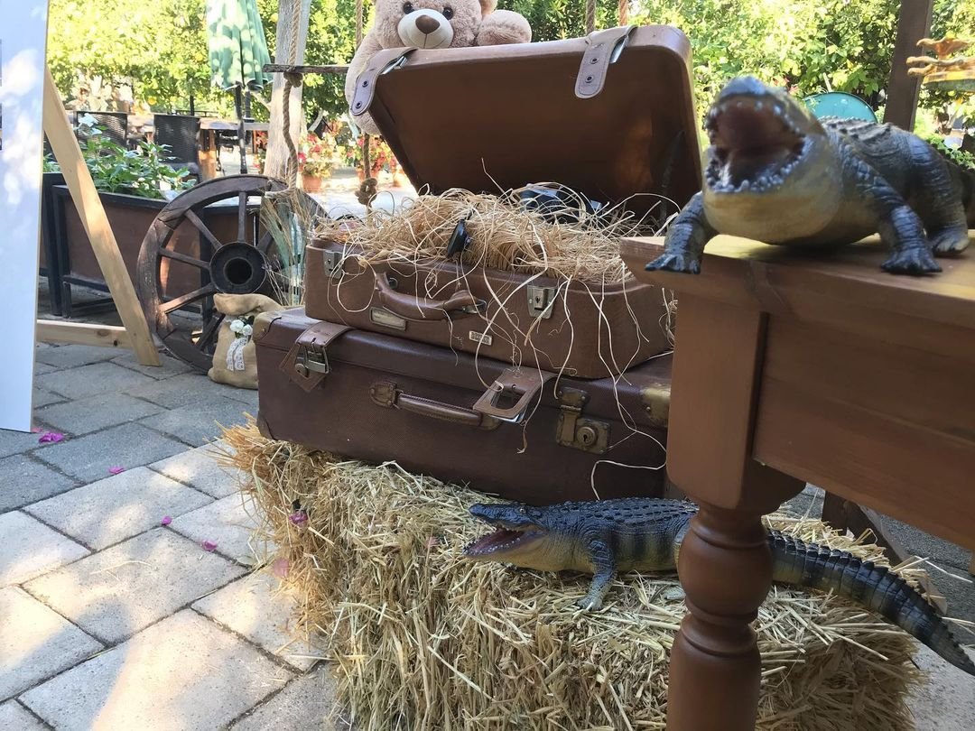 Marsel Antalya Organizasyon 