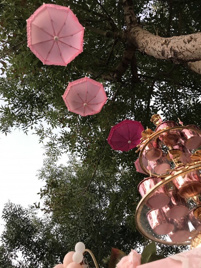 Marsel Antalya Organizasyon 