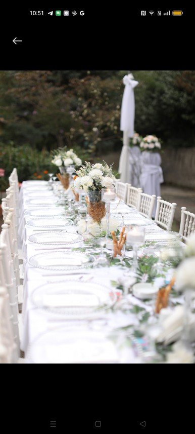 Procate Organizasyon