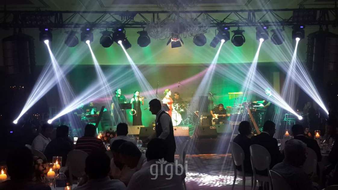 Puzzle Müzik Organizasyon 