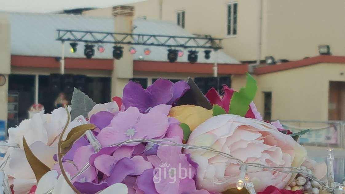 Puzzle Müzik Organizasyon 