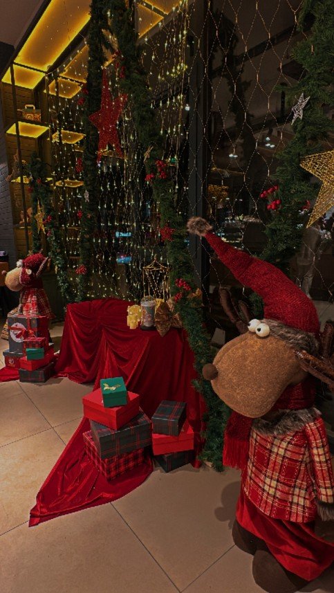 Quarencia Organizasyon