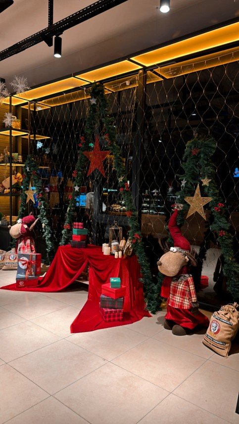 Quarencia Organizasyon