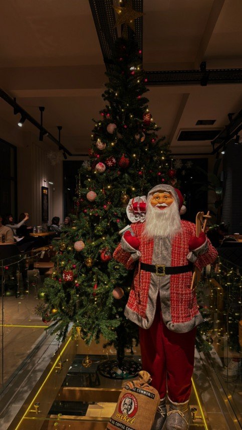 Quarencia Organizasyon