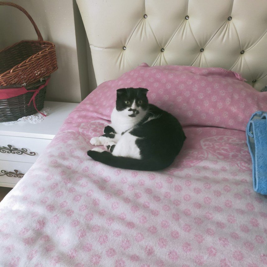 Ramazan Kürşat  Özdemir