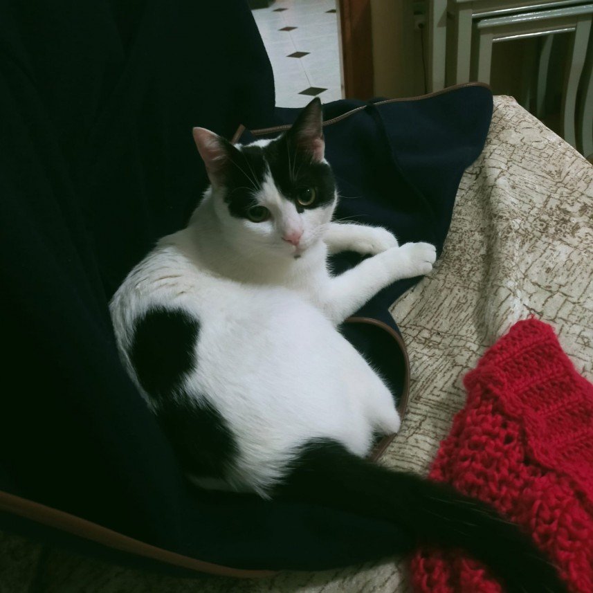 Ramazan Kürşat  Özdemir