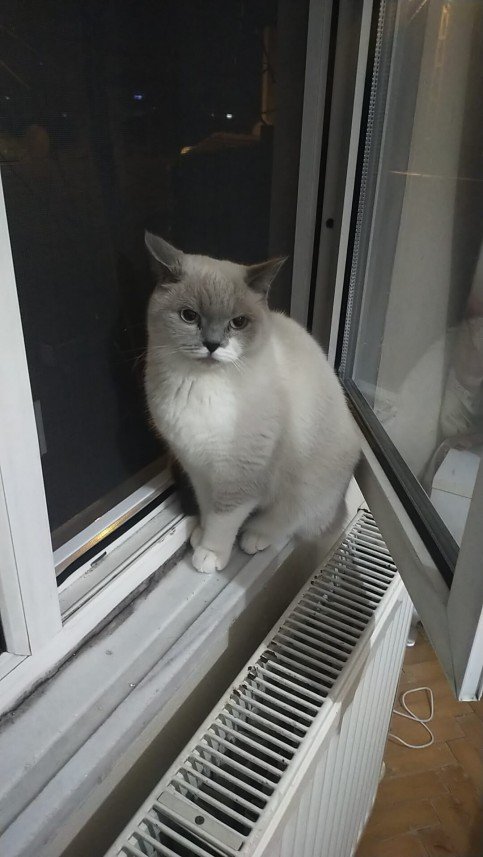 Ramazan Kürşat  Özdemir